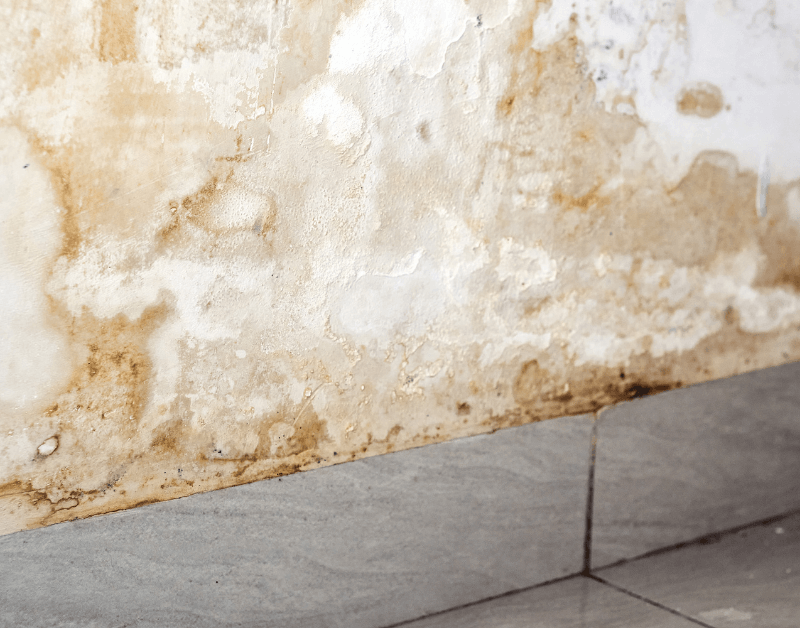 stained wall and dirty tiles