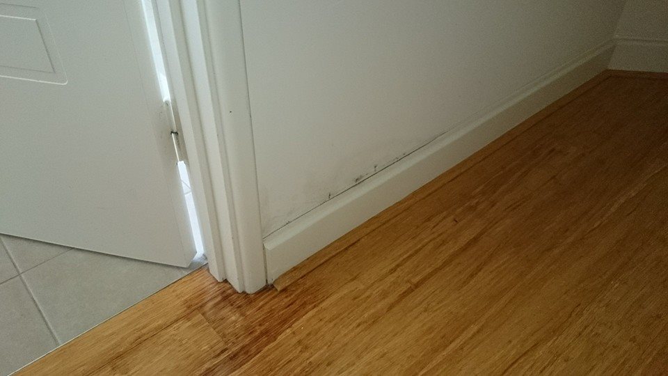 leaking-shower