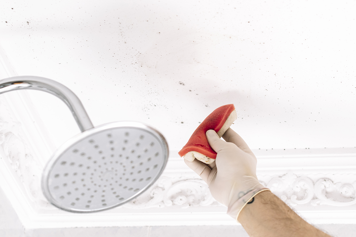 Person cleaning small mold stains on shower ceiling with gloves