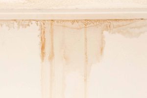 Feature-how-to-paint-over-a-water-stain